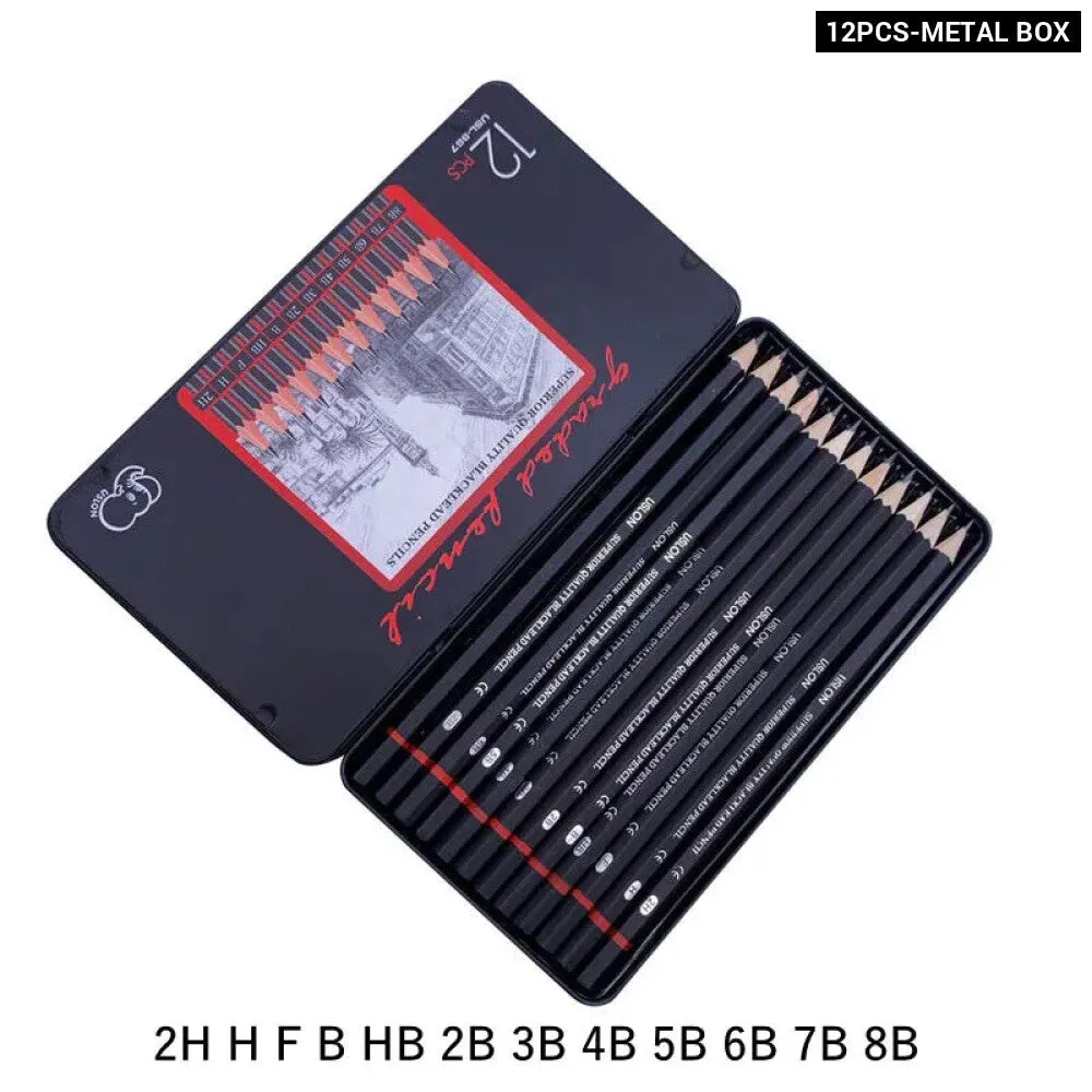 12 Piece Professional Sketching Pencil Set
