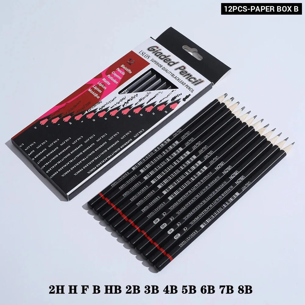 12 Piece Professional Sketching Pencil Set