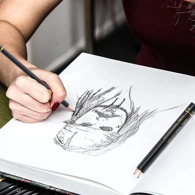 12 Piece Professional Sketching Pencil Set