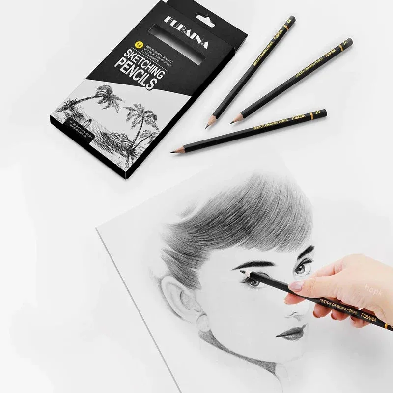 12 Piece Professional Sketching Pencil Set