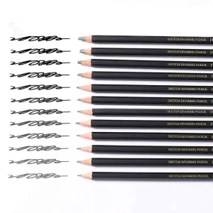 12 Piece Professional Sketching Pencil Set