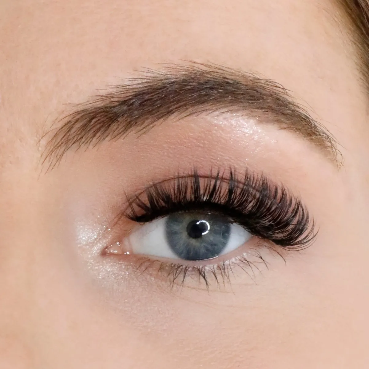 L.W.I Classic Curl Russian Strip Lash Bundle